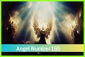 
ANGEL NUMBER 165
