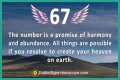 
ANGEL NUMBER 67
