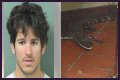 Florida Man Throws Crocodile In Drive Thru