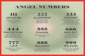 
Repeating Angel Numbers - 3's and 6's  (3366, 3636, 6633, 6363 etc)
