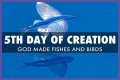 What did God create on the fifth day of creation?