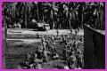 WWII's Most Daring Raids - Smithsonian Channel